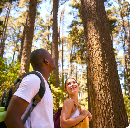 Couple hiking through a sunlit forest.