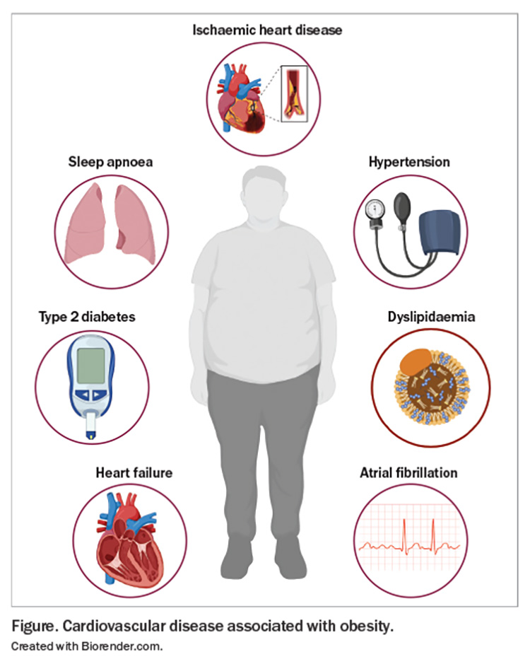 obesity and heart health